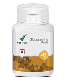 Vestige Glucosamine (100N)